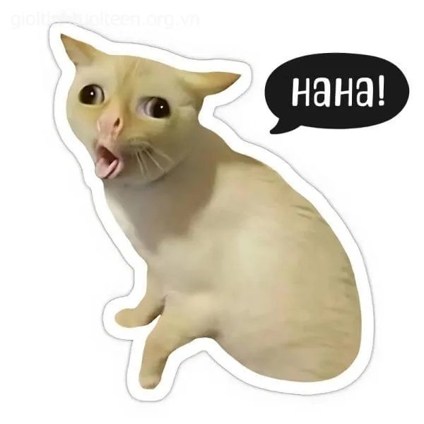 Meme mèo cười ha ha sảng khoái lan truyền năng lượng cực tích cực