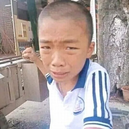 Meme đau khổ nhìn mà lòng cũng rớt theo, thể hiện sự đồng cảm sâu sắc với người xem