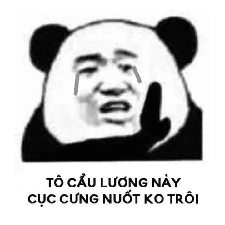 Ảnh chế gấu trúc bựa: Tô cầu lương này cục cưng nuối không trôi