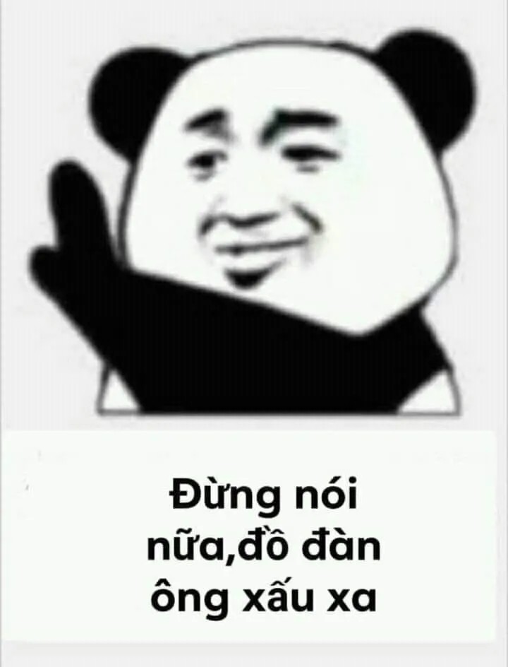 Hình gấu trúc troll: Đừng nói nữa, đồ đần