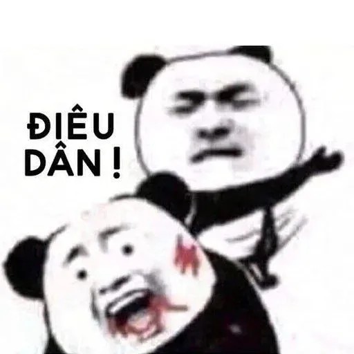 Gấu trúc tát mạnh bảo Điêu Dân