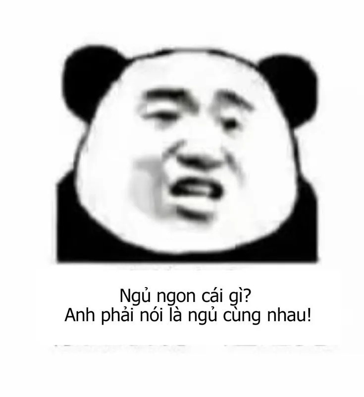 Gấu trúc: Ngủ ngon cái gì, phải nói là ngủ cùng nhau