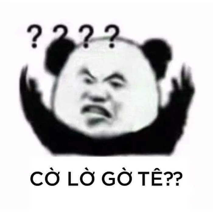 Ảnh chế gấu trúc hài: Cờ lờ gờ tờ
