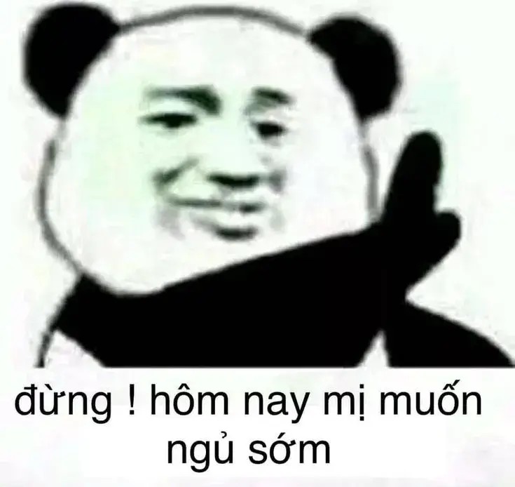 Hình gấu trúc lầy lội: Đừng, hôm nay mị muốn ngủ sớm