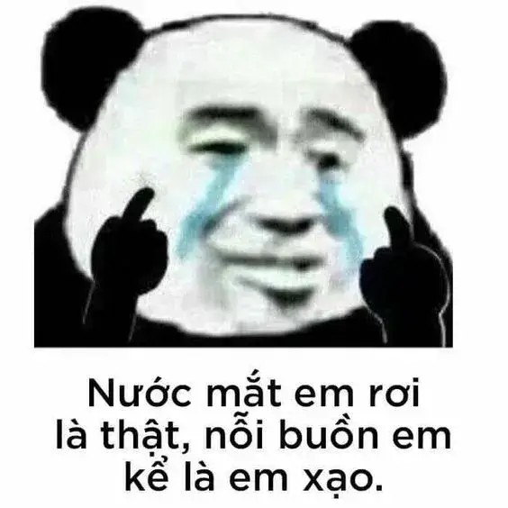 Gấu trúc thẫn thờ, đôi mắt long lanh khóc thầm lặng.
