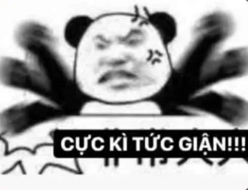 Meme chế gấu trúc khó chịu vô cùng lan khắp TikTok