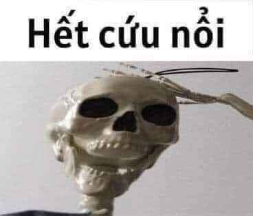 Meme hết cứu khiến dân mạng cười xỉu