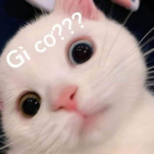 Biểu cảm của một nhân vật đang suy nghĩ rất nhiều, với nhiều đường nét biểu thị sự suy tư.