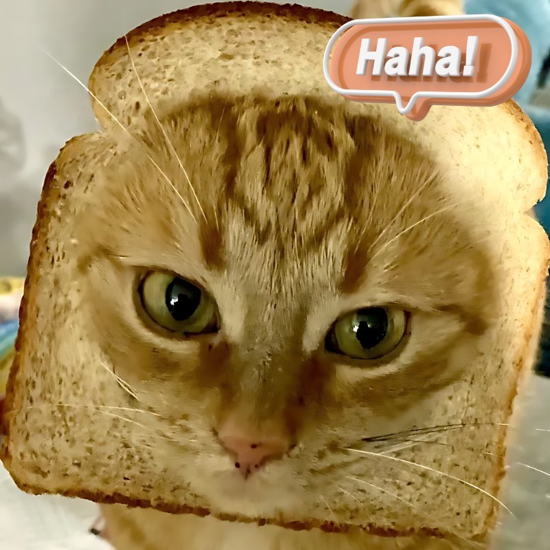 Ảnh meme mèo cười haha, hehe với sự vui vẻ sảng khoái