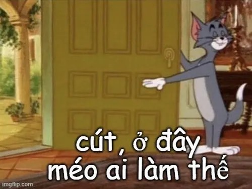 Meme Ở Đây Chúng Tôi Không Làm Thế phù hợp cà khịa việc làm không giống ai