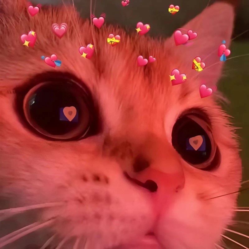 Meme tình yêu cute