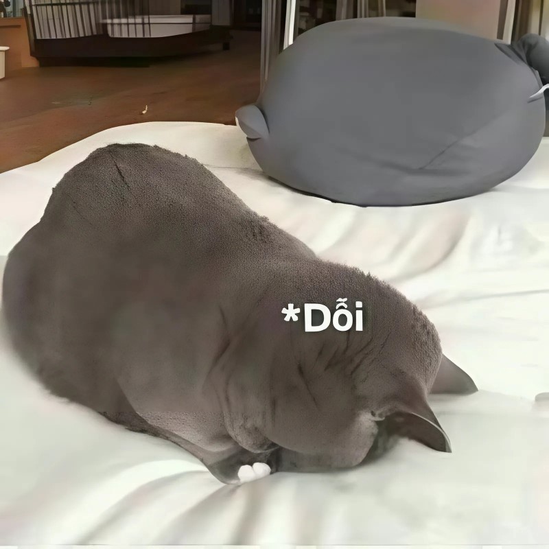 Ảnh meme tình yêu