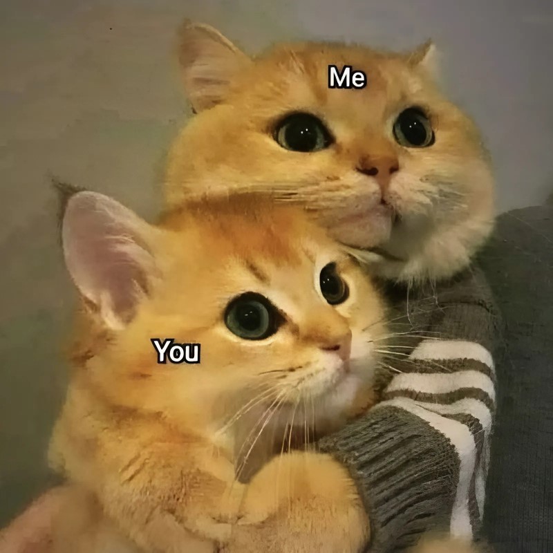 Meme tình yêu