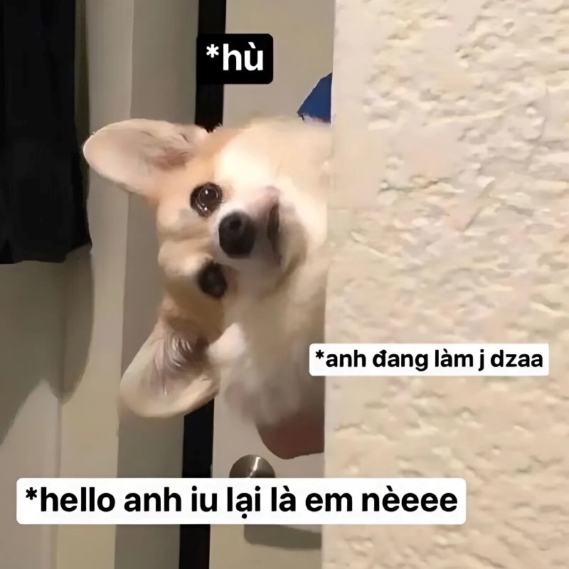 Meme tình yêu hài hước