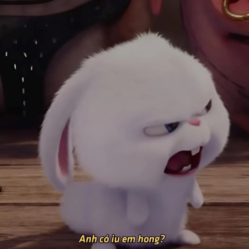Meme về tình yêu
