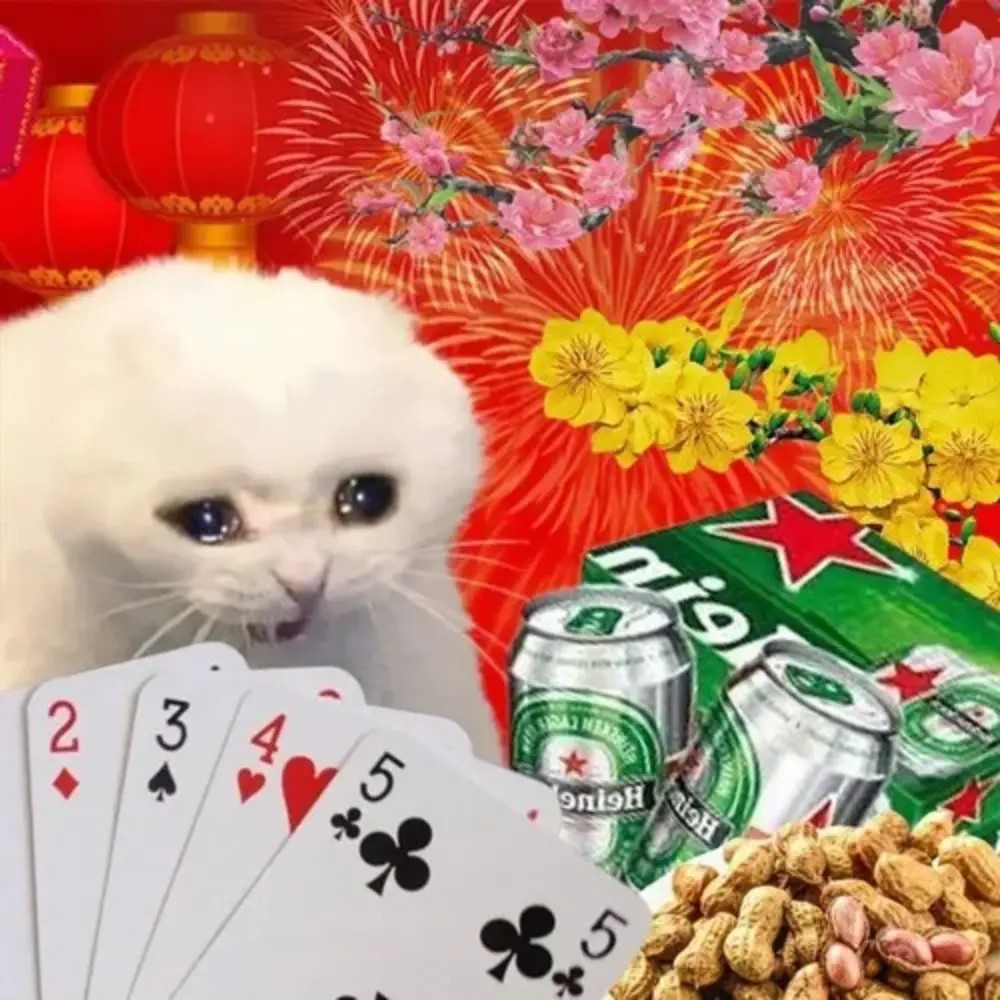 Một ăn cả, ngã về không.