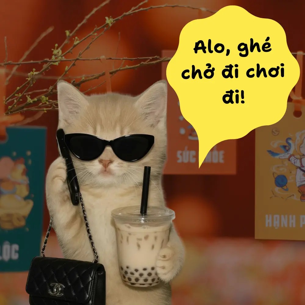 ảnh chế hài hước mèo cầm ly trà sữa, đeo kính mát, nghe điện thoại sang chảnh rủ đi chơi Tết