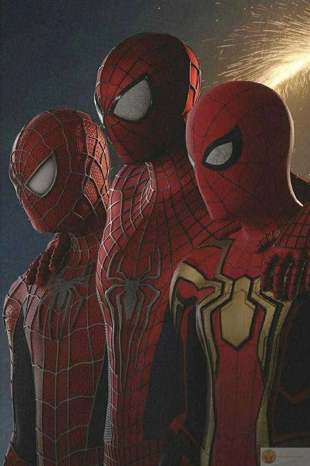 Meme Người Nhện thể hiện sự hài hước và tính bất diệt của nó trong văn hóa mạng