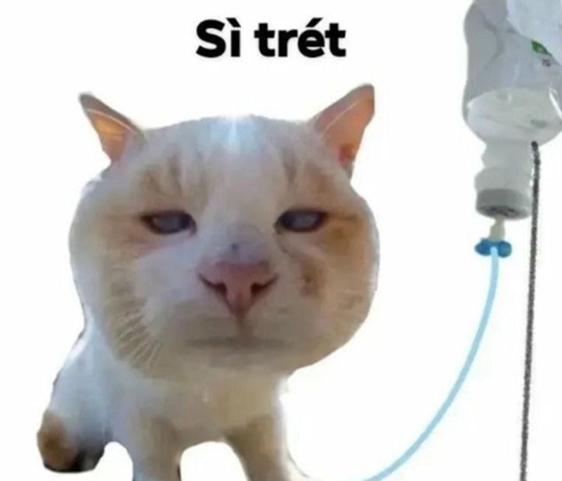 meme suy nghĩ hài, hóm hỉnh