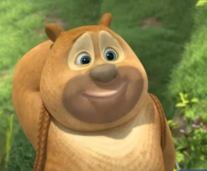 Meme gãi đầu phiên bản động vật cực cute