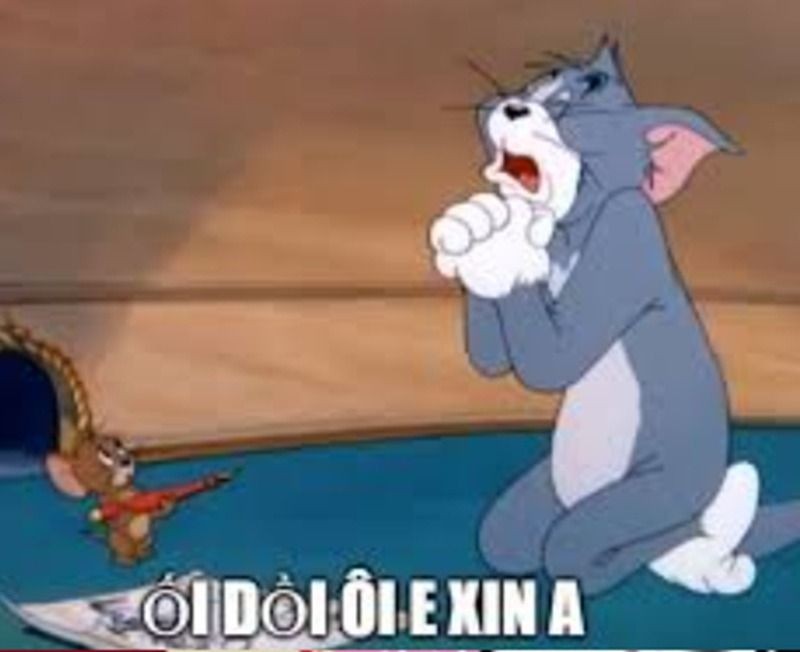 Meme lạy từ các con vật tấu hài
