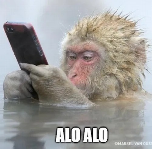 Khoảnh khắc alo đầy drama khó đỡ
