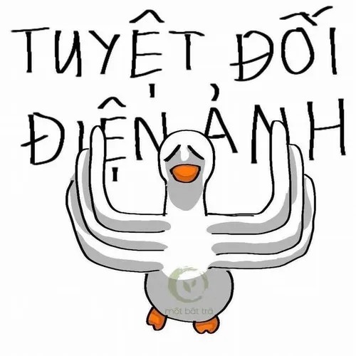Khi meme con vịt trở thành “thanh xuân mạng xã hội”