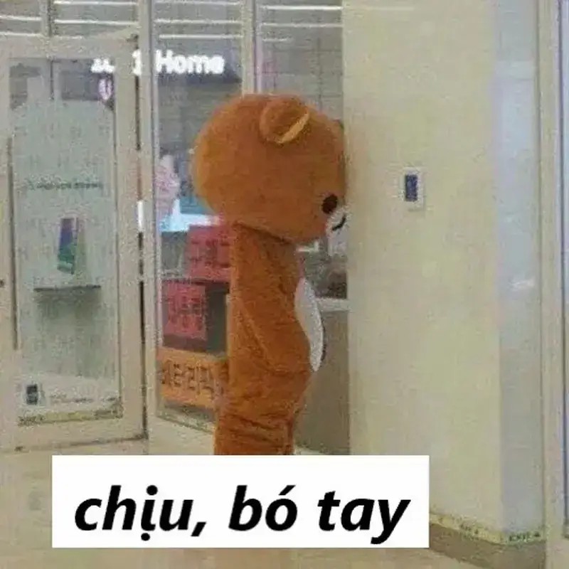 Hình troll chịu đựng thể hiện biểu cảm đơ đặc trưng giữa cảnh éo le.