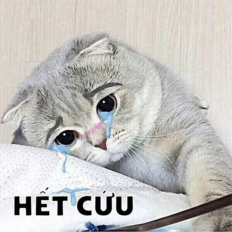 Hình meme hài chịu luôn cho thấy thái độ buông bỏ đầy châm biếm.