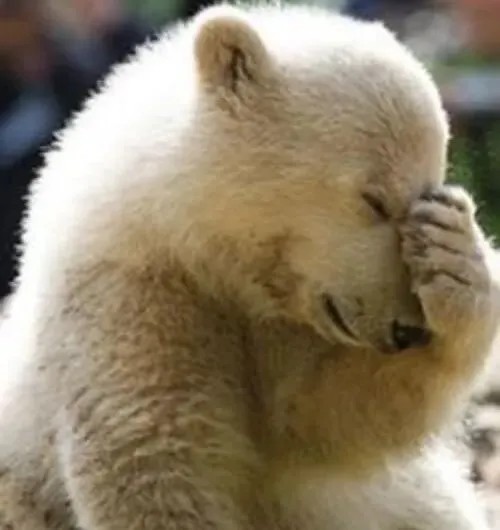 Hình meme gục ngã cho bạn thể hiện cảm giác tụt mood ngay lập tức