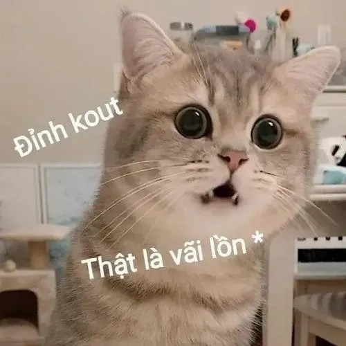 Ảnh chế mắt mở to biểu cảm khuôn mặt đầy ngỡ ngàng