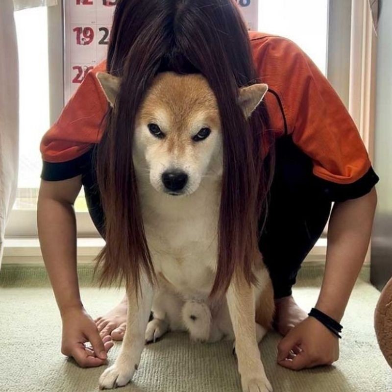 Meme này rất hợp để gửi cho đứa bạn hay cà khịa mình