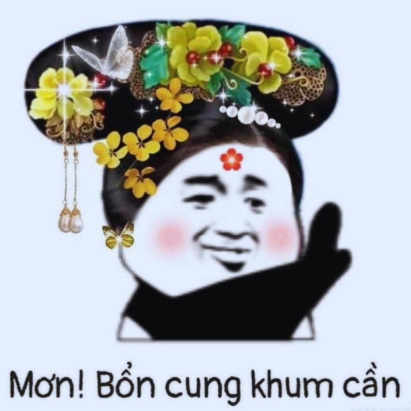 Gấu trúc với ánh mắt "thái độ" đầy vẻ thách thức