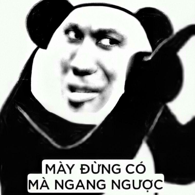 Meme gấu trúc với nét vẽ hài hước và độc đáo