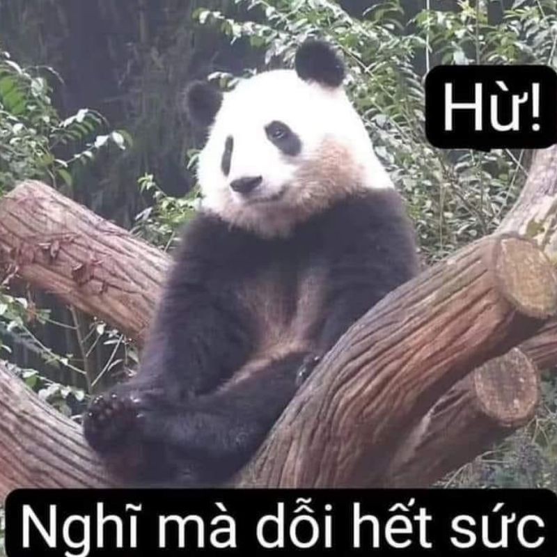 Meme này mang đến sự dí dỏm và thông điệp rõ ràng