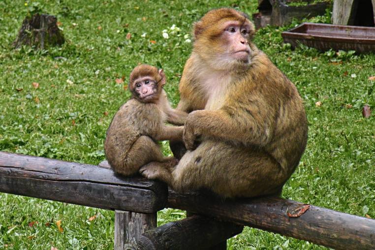Cảnh sát phong tỏa và khám nghiệm khu vực phát hiện thi thể nạn nhân