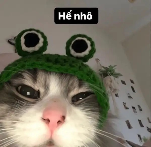 Nói chào 2 lần như hello hello meme là chắc ăn trend
