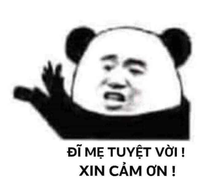 meme cam on yody vn 17