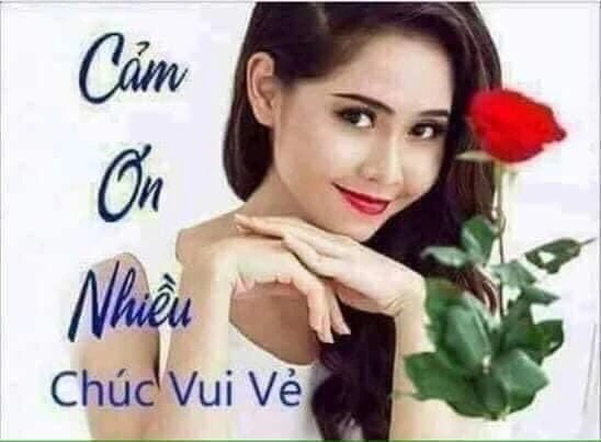 meme cam on yody vn 18