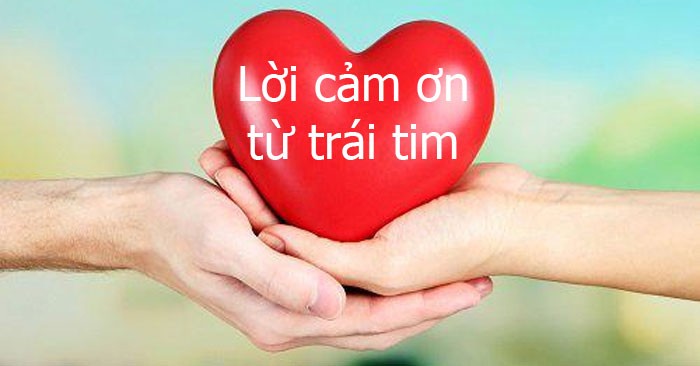 meme cam on yody vn 22