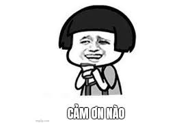 meme cam on yody vn 32