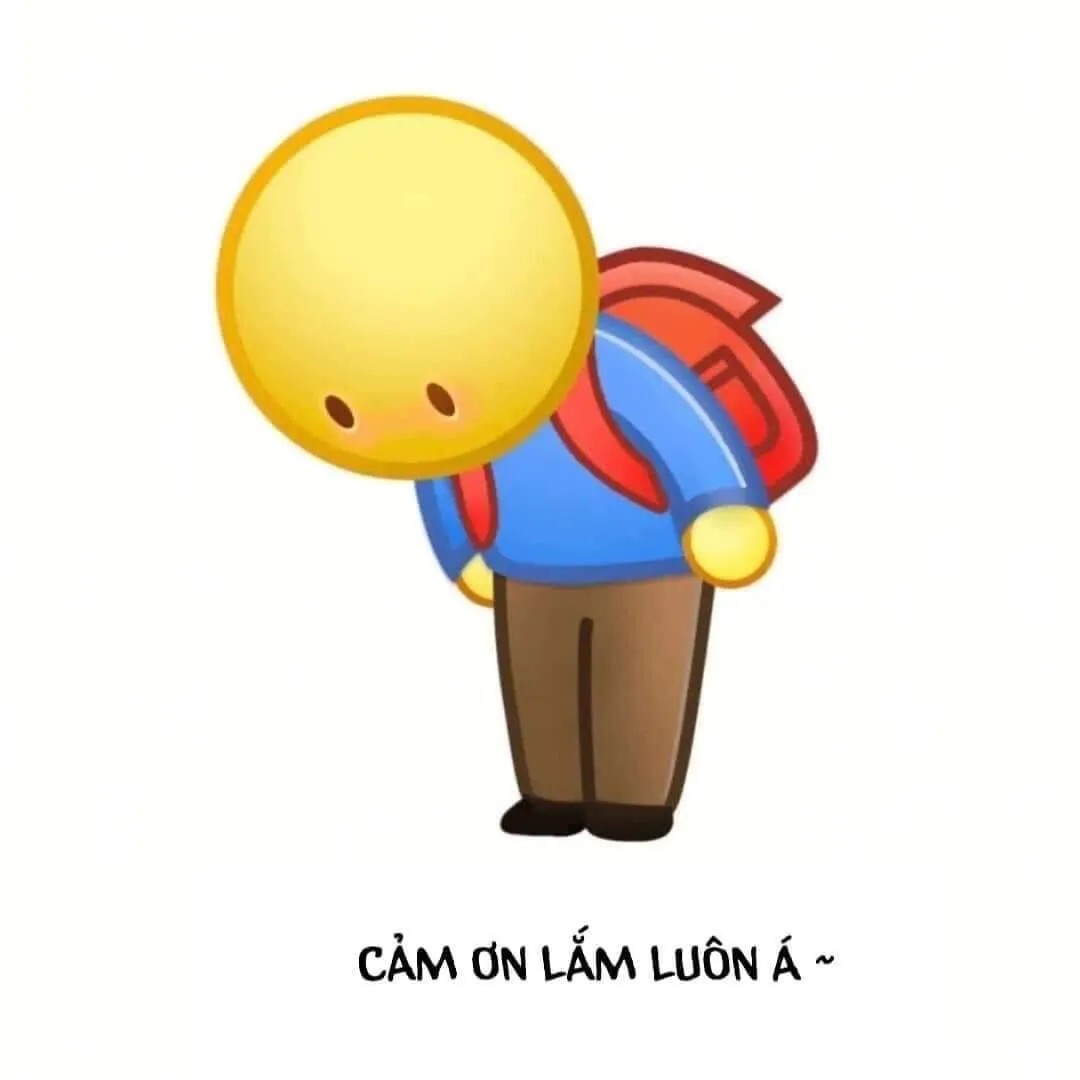 meme cam on yody vn 33