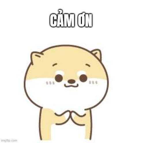 meme cam on yody vn 35