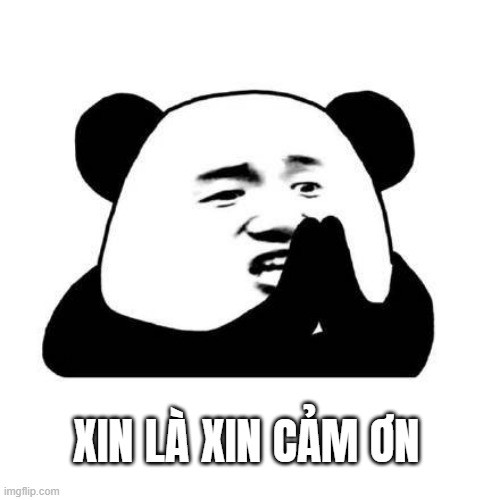 meme cam on yody vn 36