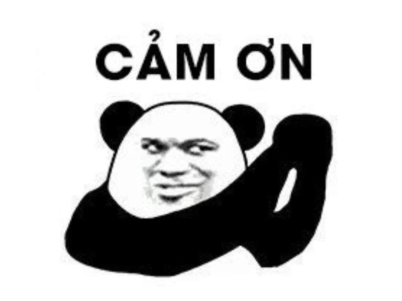 meme cam on yody vn 4