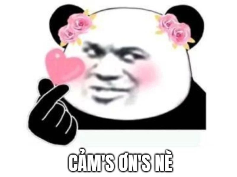 meme cam on yody vn 6