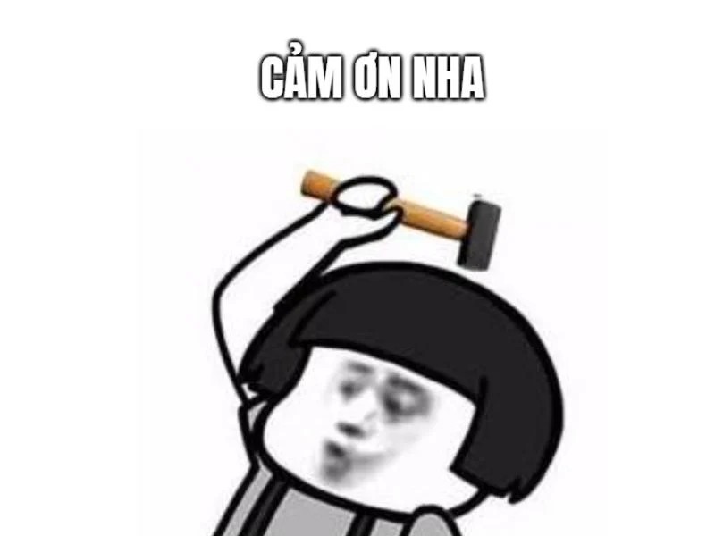 meme cam on yody vn 7