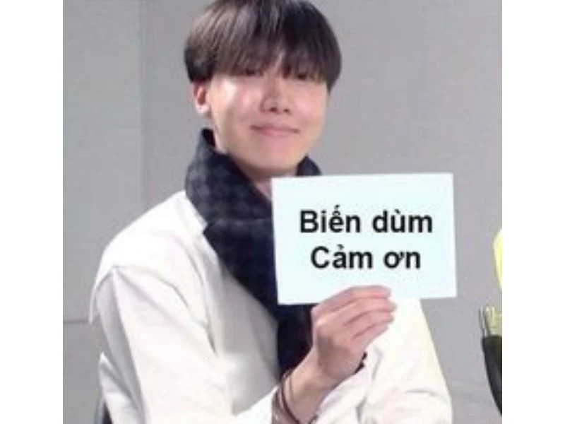 meme cam on yody vn 9