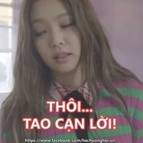 Meme vui cạn chữ, kiểu “thôi kệ đời”