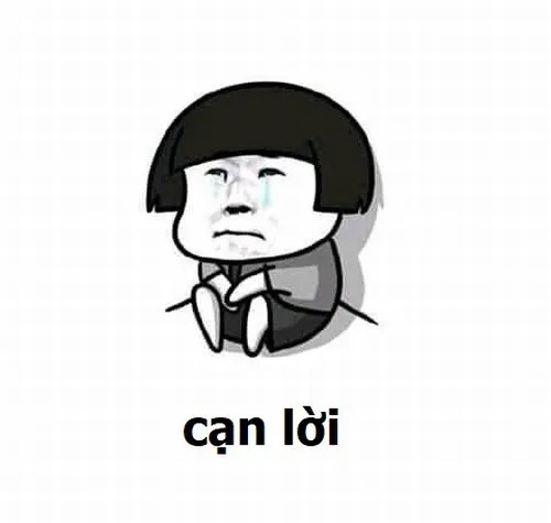 Ảnh vui cạn lời thật sự, khỏi bàn thêm